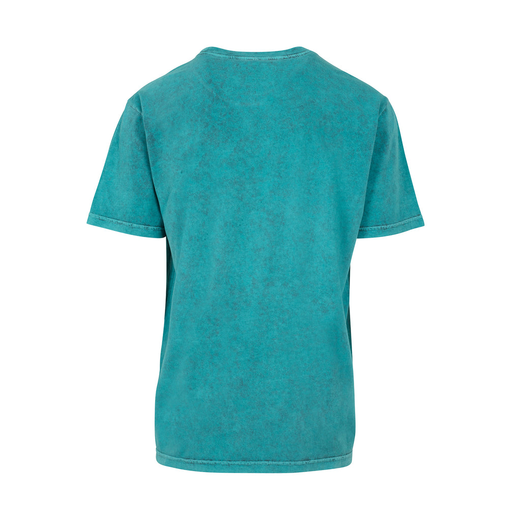 STOAK mens blue street t-shirt back